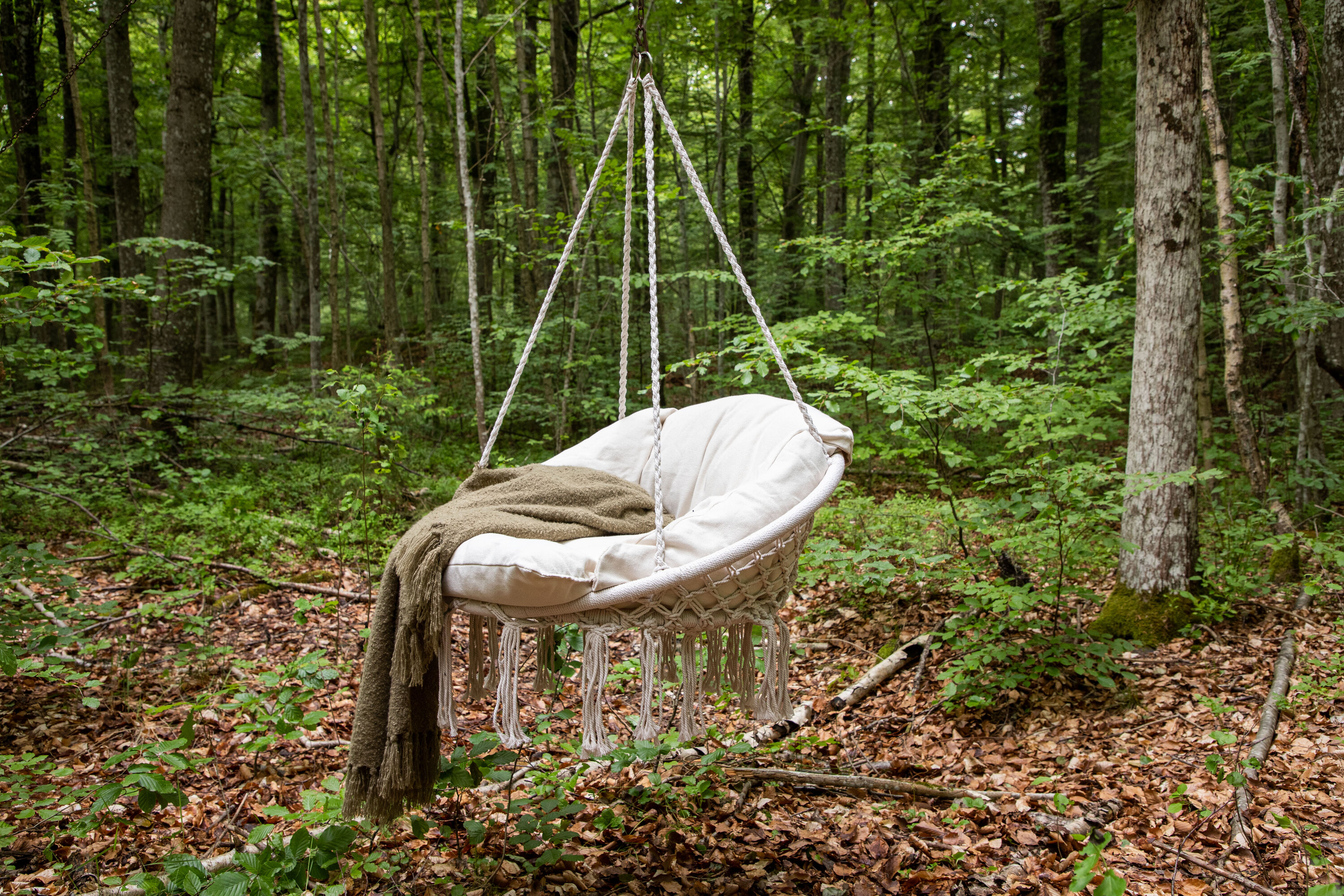 Hamtic Porch Swing