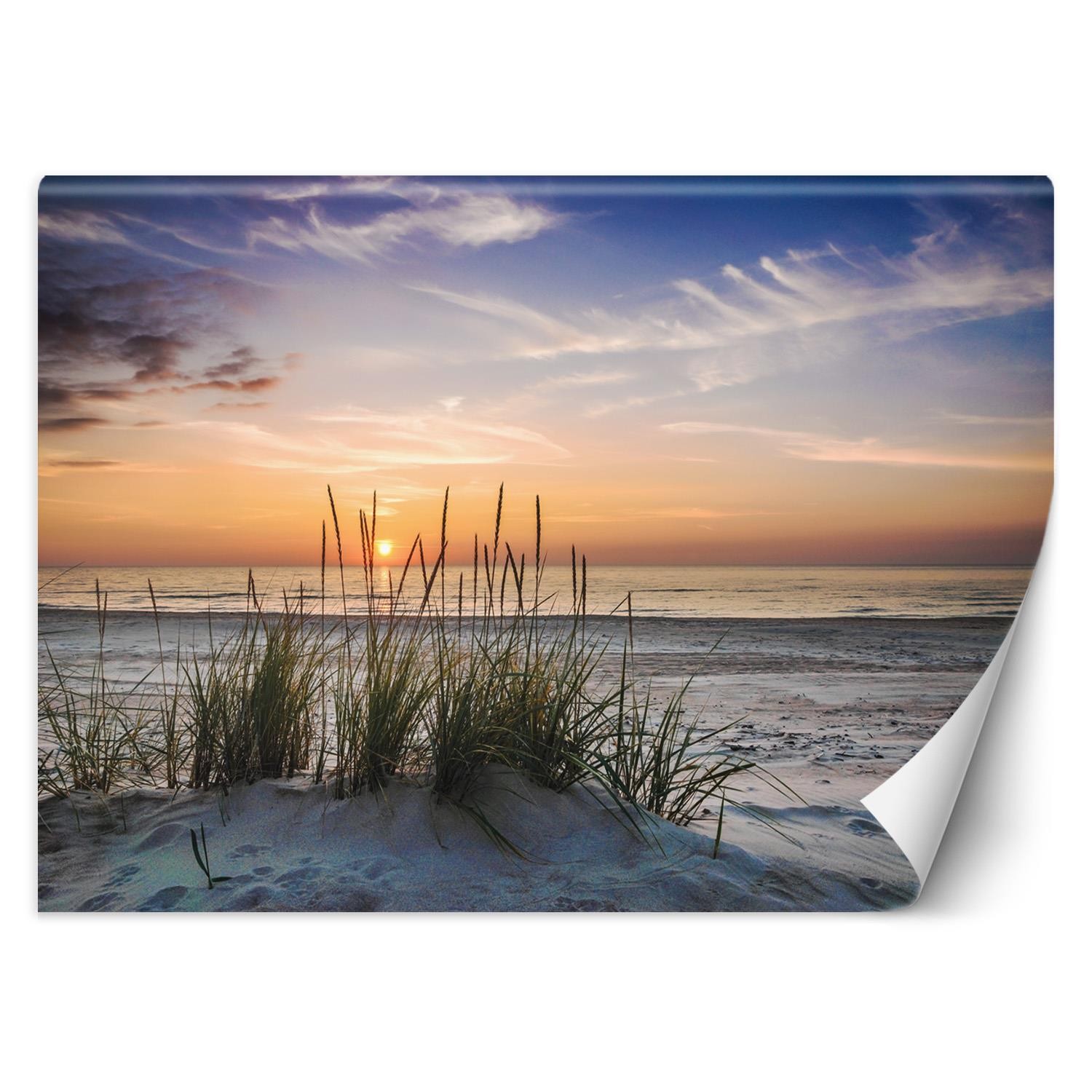 Wandfoto voor woonkamer in abstract en modern stijlgras op het strand bij zonsondergang