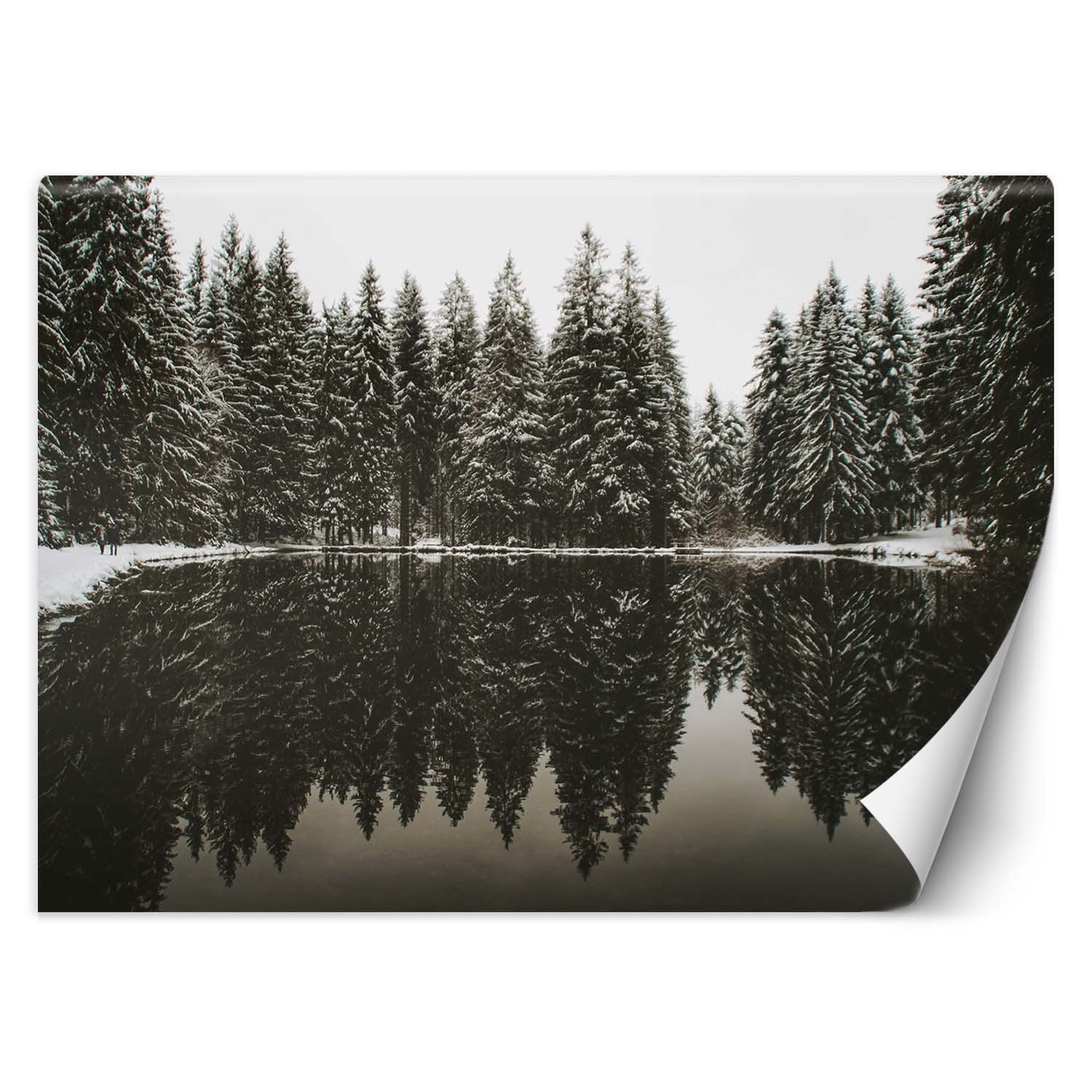 Behang gedrukt op canvas met lijmpatroon meer in het bos in de winter