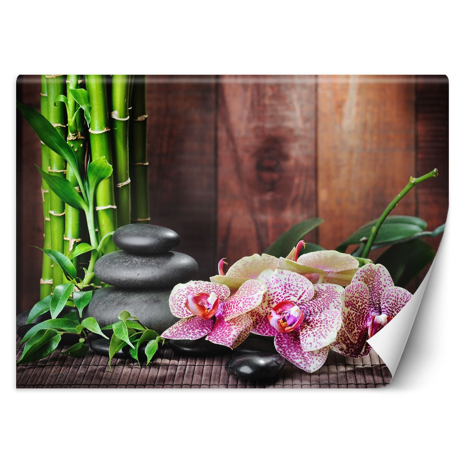 Orchideebehang van bamboe en kiezelsteen met een achtergrond van donker hout