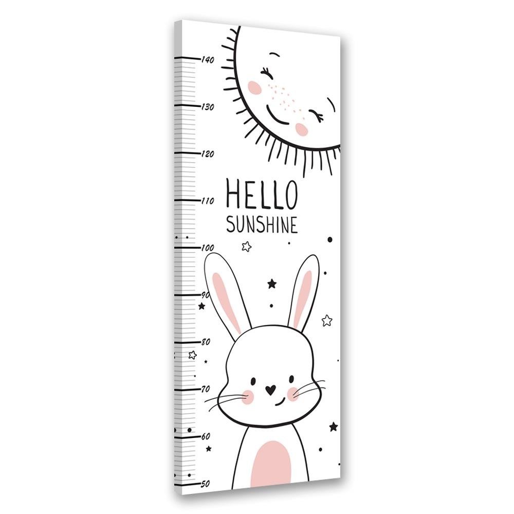 Frame met meter voor het meten van kinderlengte van 40 cm gemaakt van mdf konijn