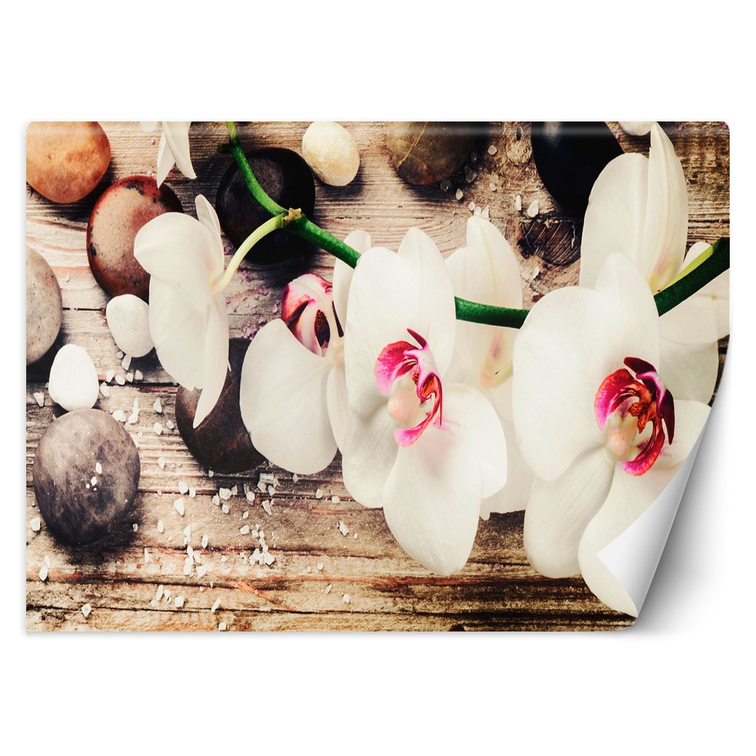Behang gedrukt op canvas met zen-orchideepatroonlijm