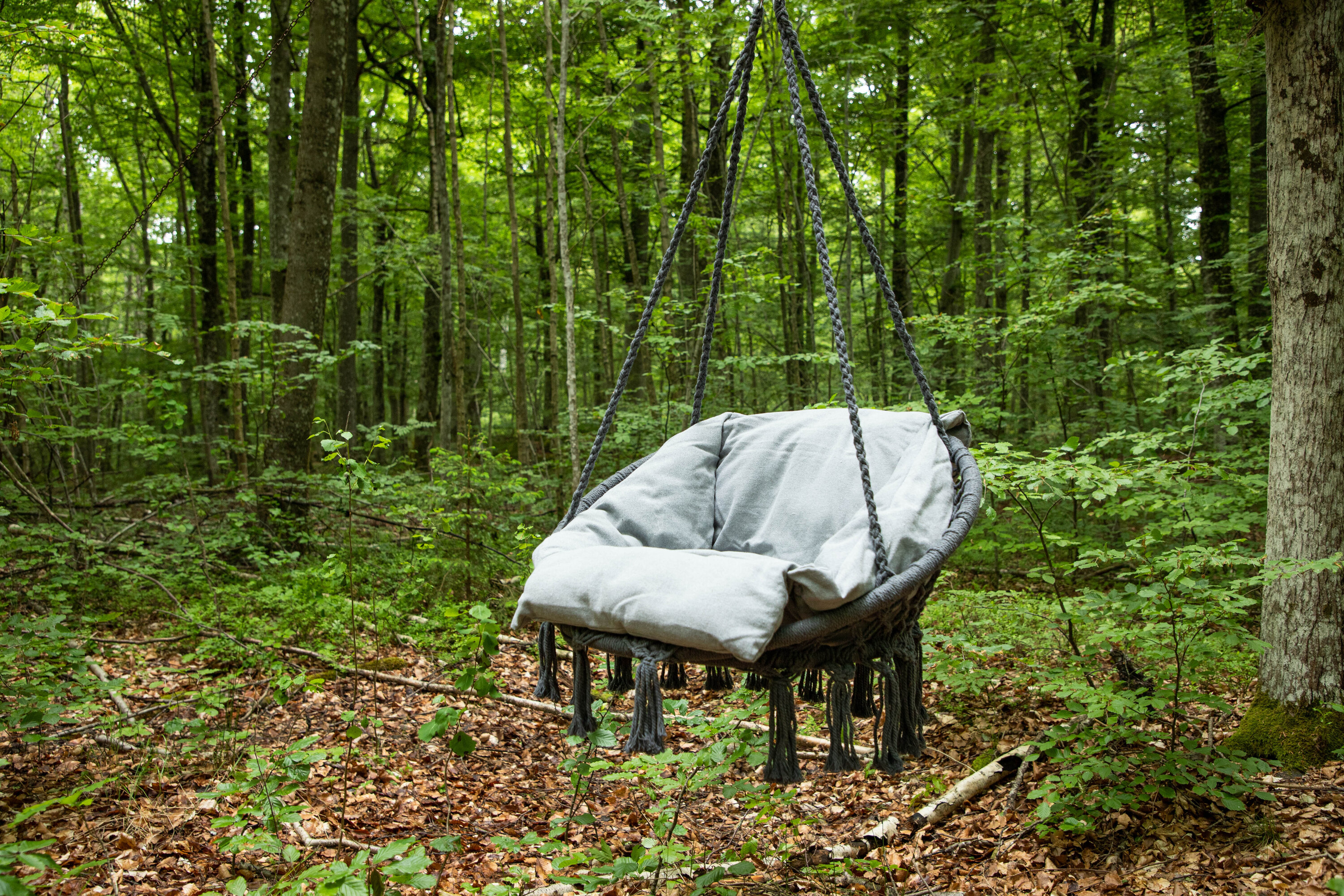 Hamtic Porch Swing