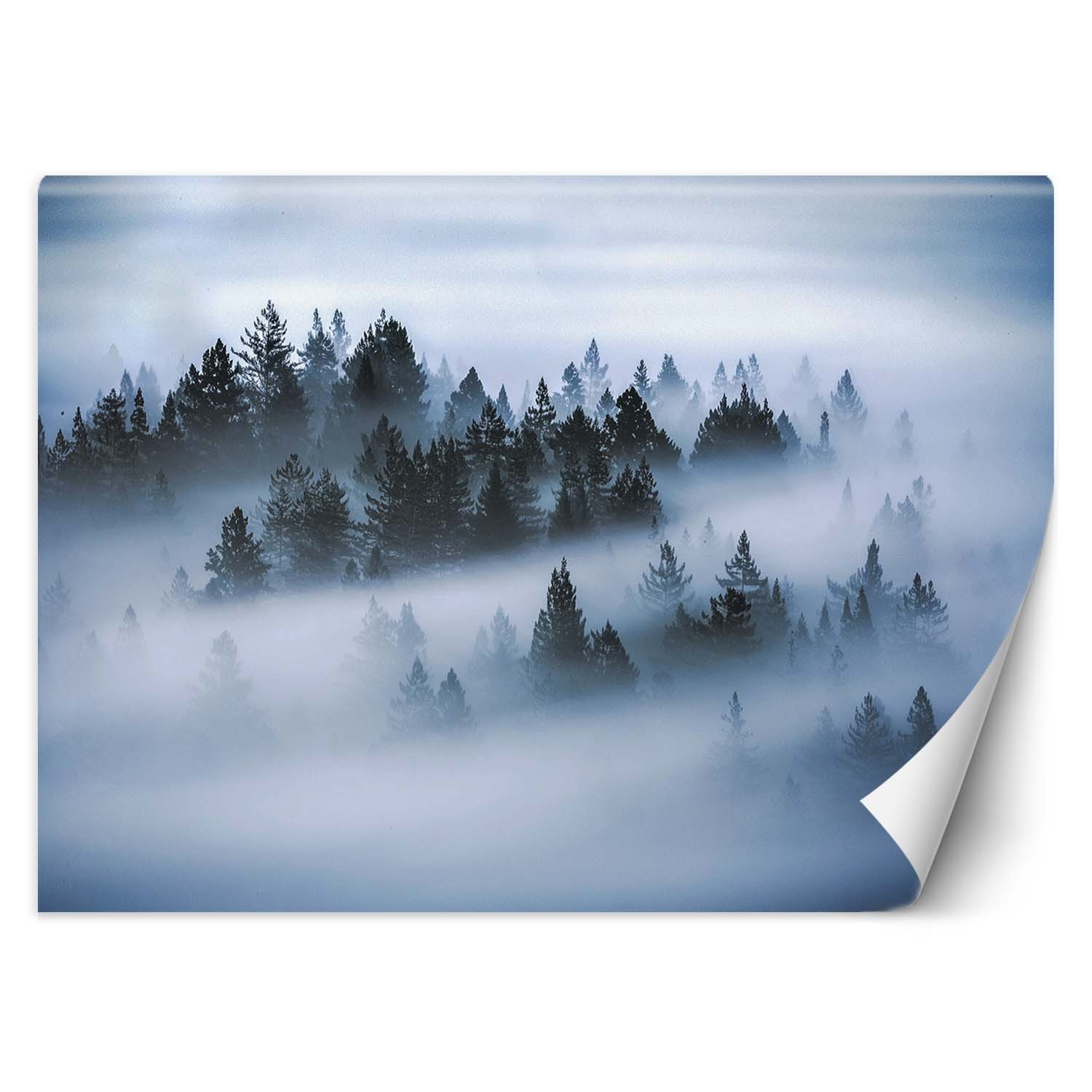 Behang gedrukt op canvas met houtpatroonlijm in de mist